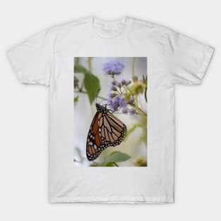 Migration Series VIII T-Shirt